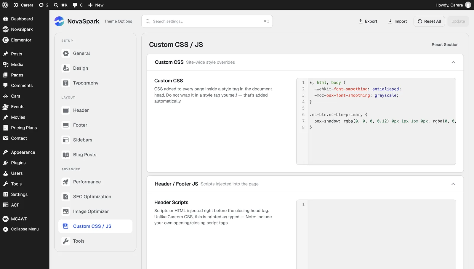 The Custom CSS / JS tab showing the code editor with syntax highlighting.